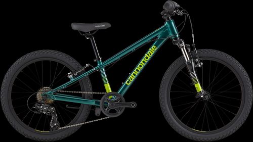 cannondale trail 20