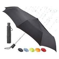 Lewis N. Clark Umbrella