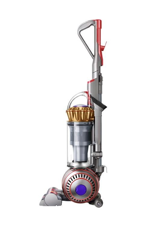Dyson Ball Animal 3 Complete (Gold)