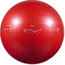 GoFit Pro Stability Ball